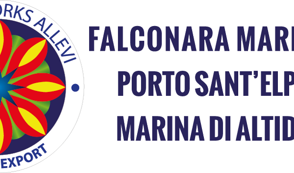 logo-artfireworks-group